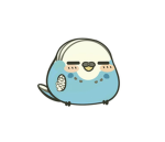 blue birds club