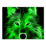 •wolf gang•