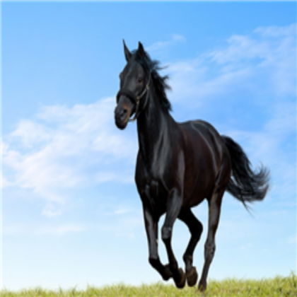 black-horse-running-in-green-meadow Roblox decal