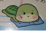 Turtle Shell Company