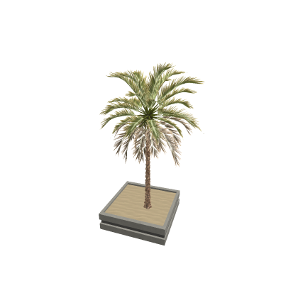 PBR Palm Tree with Plant Pot