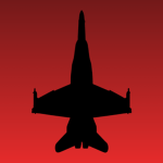 Swiss Hornet Display Team