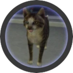 Pet the Cat