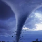 We Are Tornado Chasers Inc.
