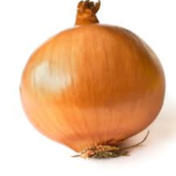 soviot onion raids