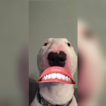 fahriisalim