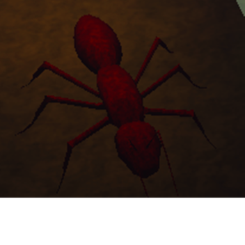 Comforting Ant Farm