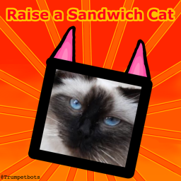 Raise a Sandwich Cat