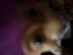 Veelix