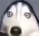 Creepr boy ok