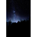 A Starry Night
