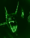The Horned Bat