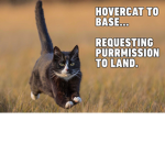 hovercat