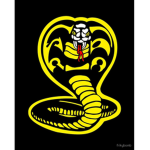 Cobra Kai karate dojo training