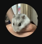 albondi grupo