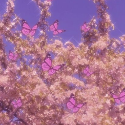 ✧