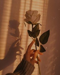 ʚɞ angelic apparel ʚɞ