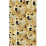 Doge_doge_doge