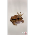 Froggie Palace