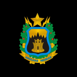 Academia Militar das Agulhas Negras - AMAN