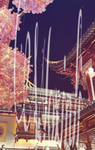 Woxinli