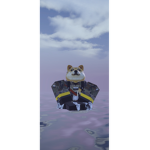 Doge Navy Forces