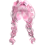 Pastel Pink Flower Braids