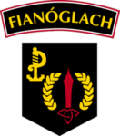 Irish Defence Force Army Ranger Wing