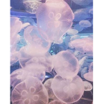 The Jelly Gang!!! :)