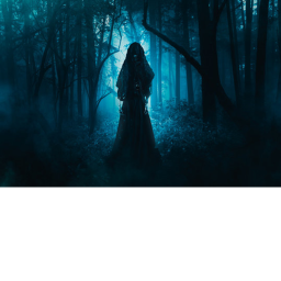 Survive the forest