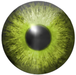 Eye raters