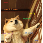 Doge Plane