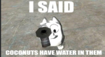Dakotas Epik Memers