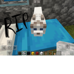 R.I.P my kitty