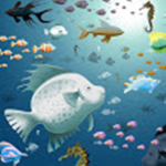 fishflow