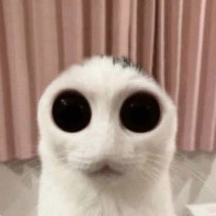 funny alien looking cat Roblox decal