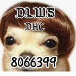 DLWS DHC