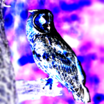 owlSquаd
