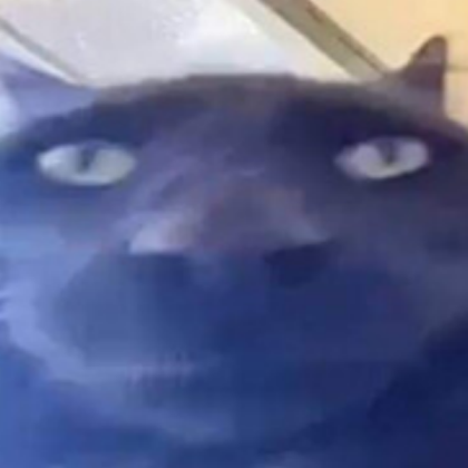 black cat Roblox decal