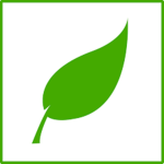 Fern Airlines