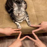 ꜰʀɪᴇɴᴅꜱ ʜᴀɴɢᴏᴜᴛ <3