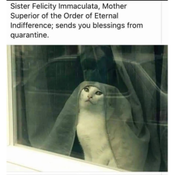 Donate lol  [Go to gamepasses] *NOT BEGGING*