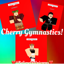 Cherry Gymnastics Private Gym