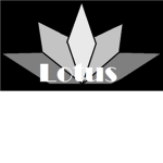 Lotus Architecture