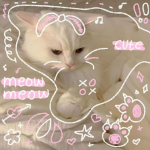 meowsterrs