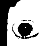 freakmedia