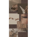 ᴄʜᴀʀʟᴏᴛᴛᴇs ʙᴏᴜᴛɪǫᴜᴇ シ