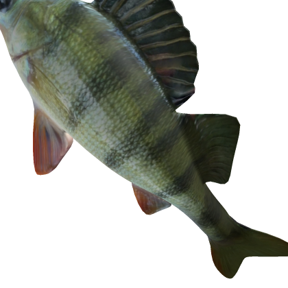 PerchBack