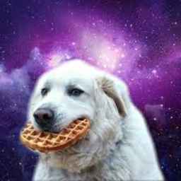 Waffle World (simulator)