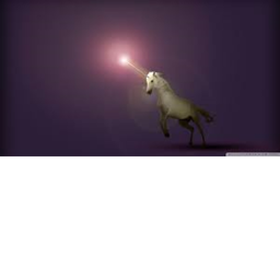 The Land Of Unicorns!
